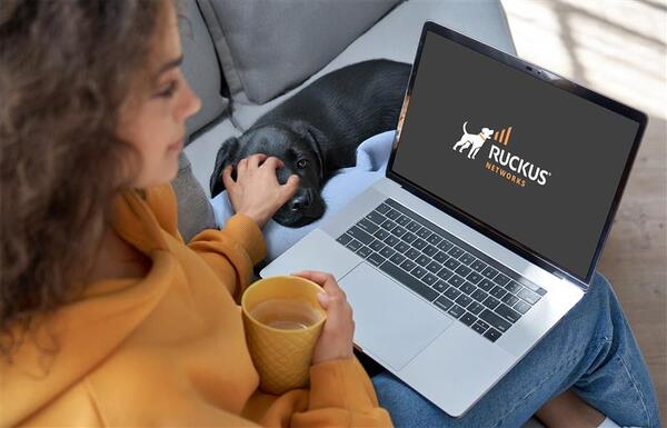 Woman on couch, laptop on lap, coffee in hand, petting cat. 