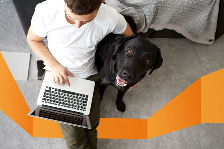 A person and their dog watching a webinar