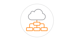 ruckus-product-network-controllers-icon