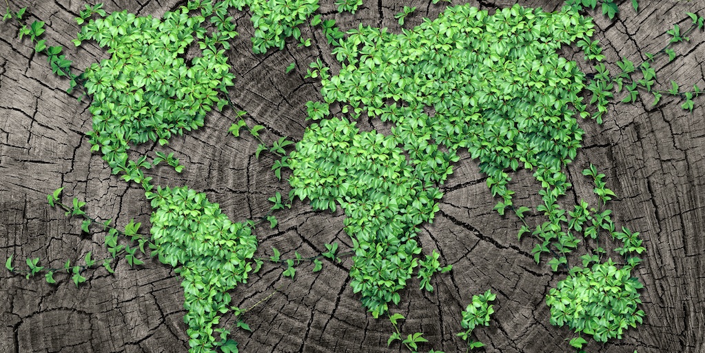 Building Corporate Culture with Ethics and Compliance Training